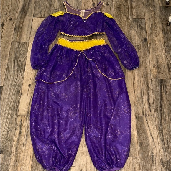 Disney Princess Jasmine Costume - Picture 1 of 16